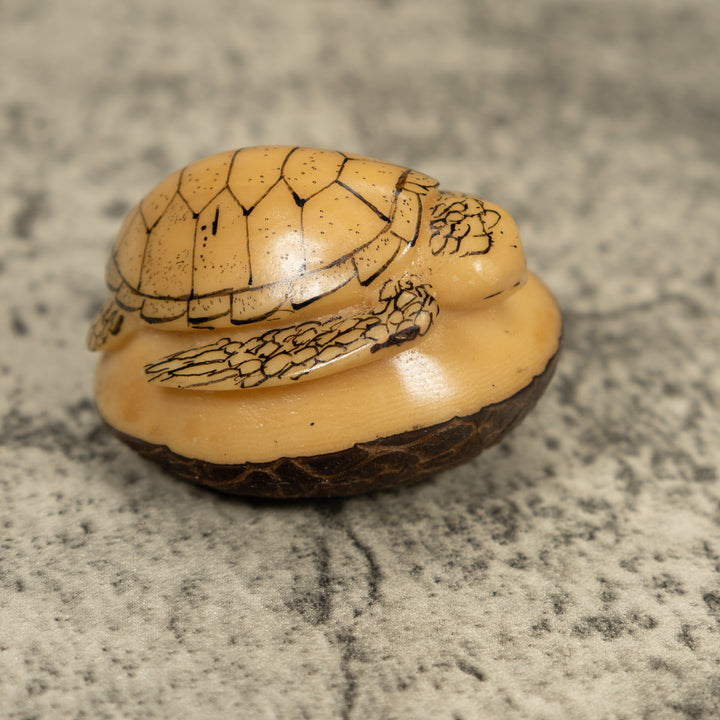 Vintage Black And White Sea Turtle Tagua Carving
