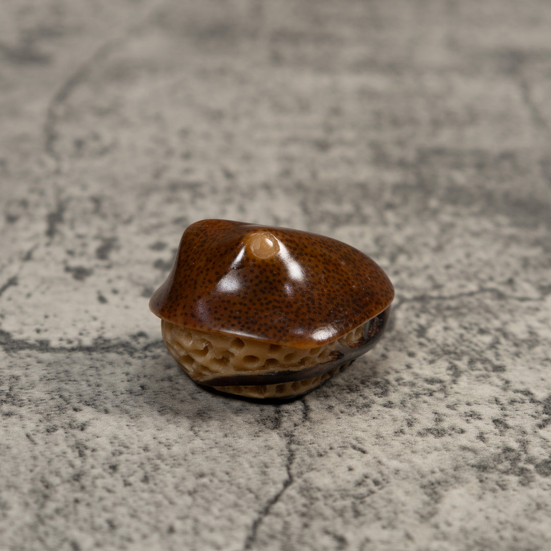 Vintage Stingray Fish Tagua Carving