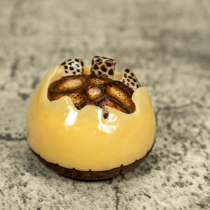 Black And Brown Sea Turtle Emerging From Egg Tagua Carving