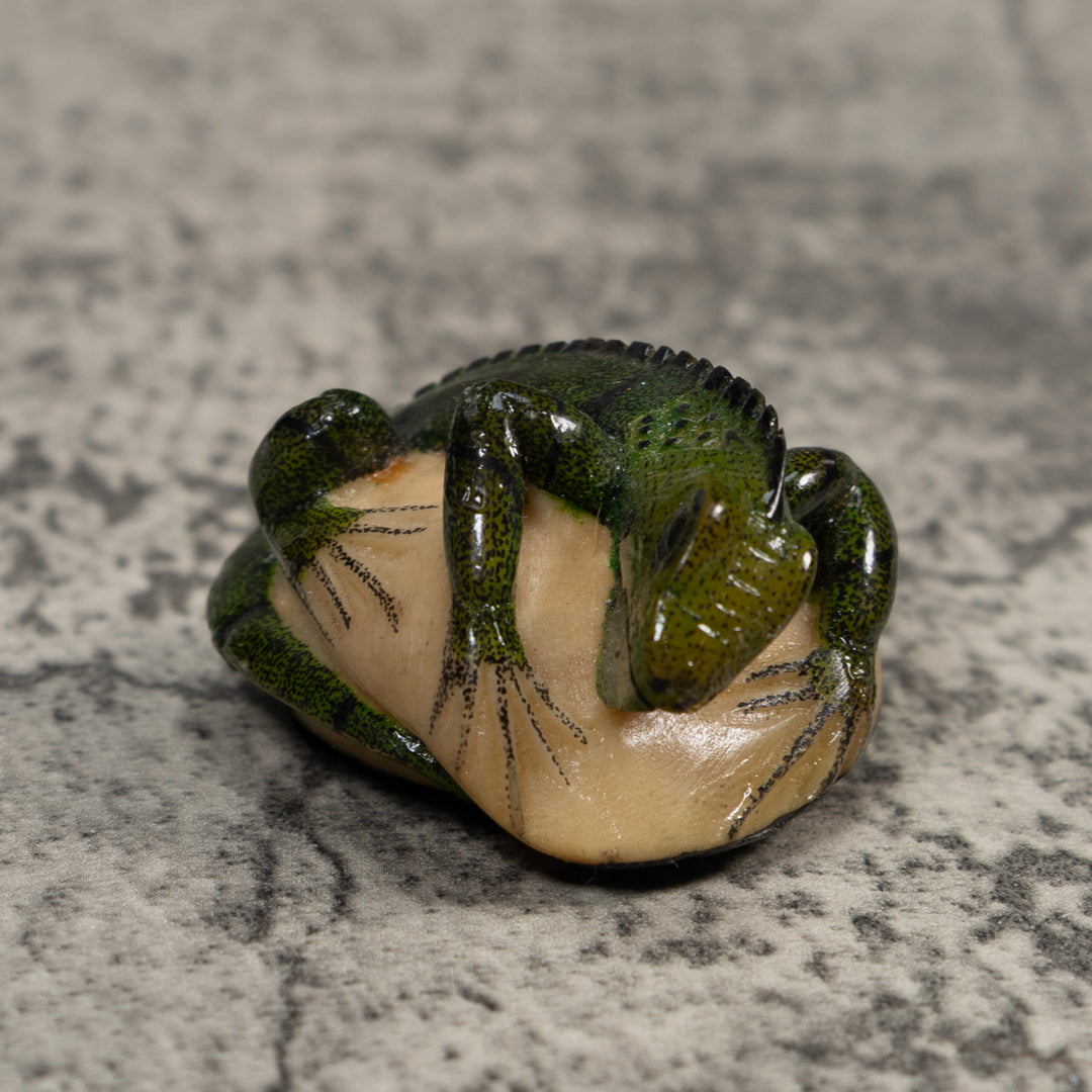 Green Iguana Lizard Tagua Carving