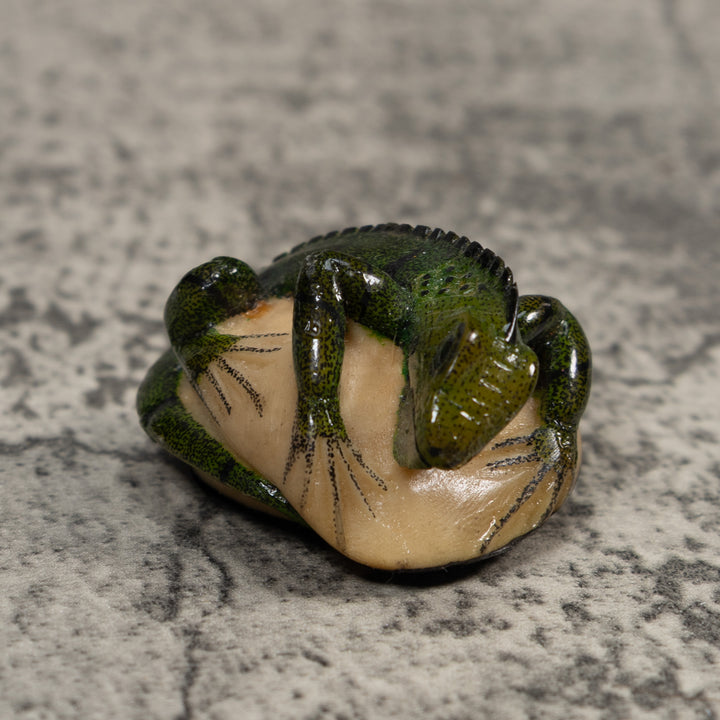 Green Iguana Lizard Tagua Carving