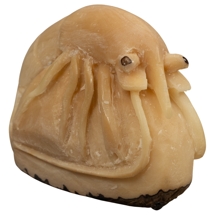 Vintage White Shrimp Tagua Carving