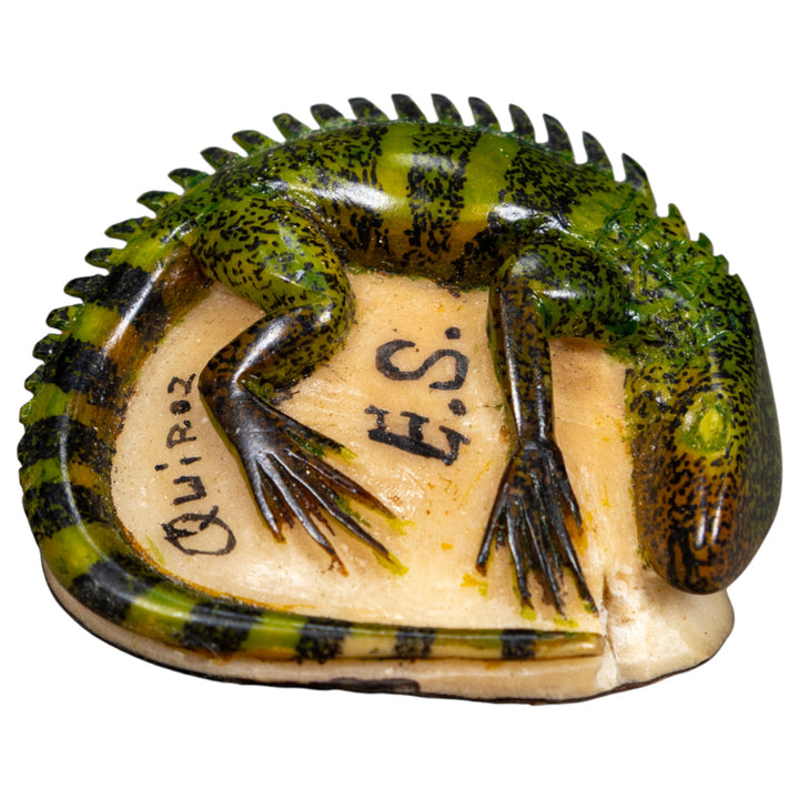 Green Iguana Lizard Tagua Carving