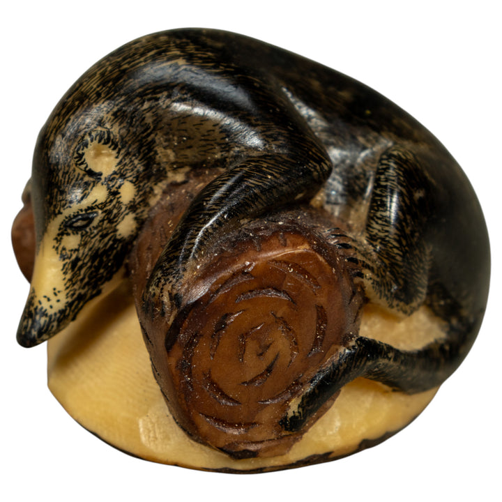 Coatimundi Tagua Carving