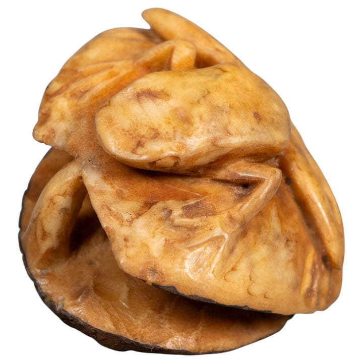 Natural White Dyed Frog And Plant Tagua Carving