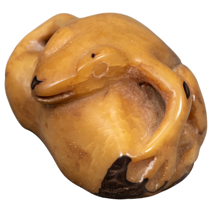 Vintage Dyed Frog Tagua Carving