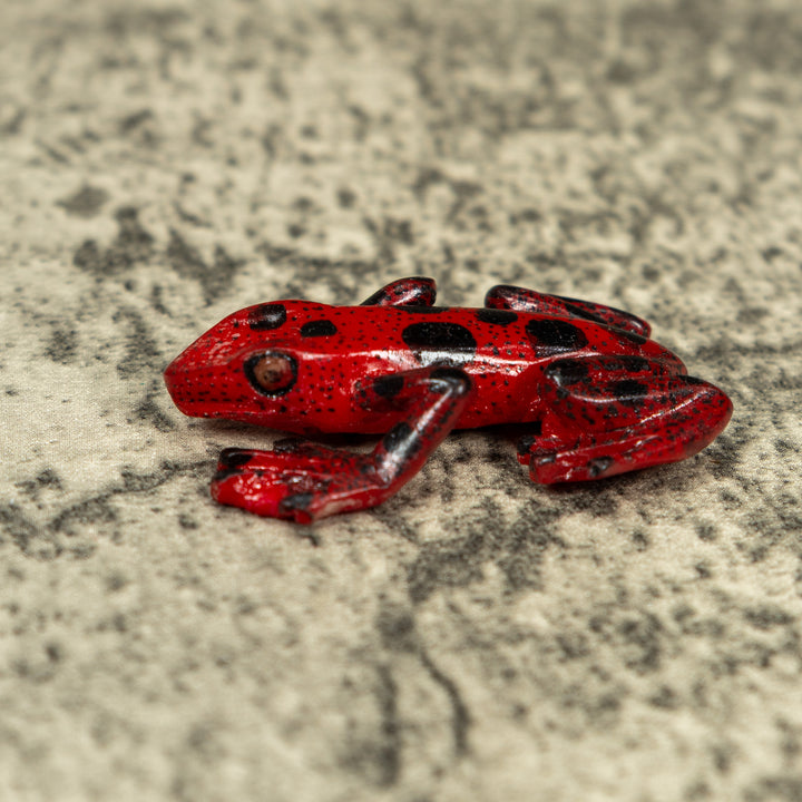 Free-Standing Red And Black Poison Dart Frog Tagua Carving