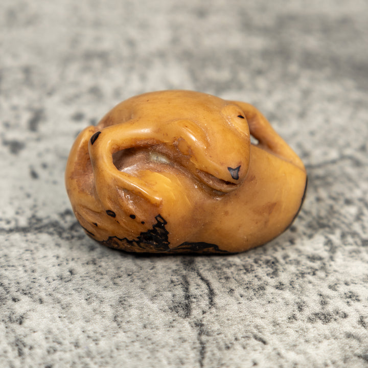 Vintage Dyed Frog Tagua Carving