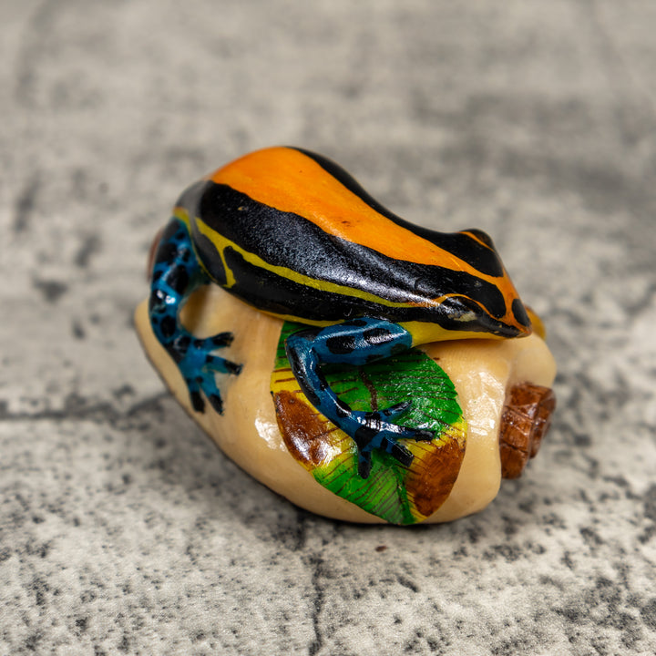 Black Orange Yellow And Blue Poison Dart Frog Tagua Carving