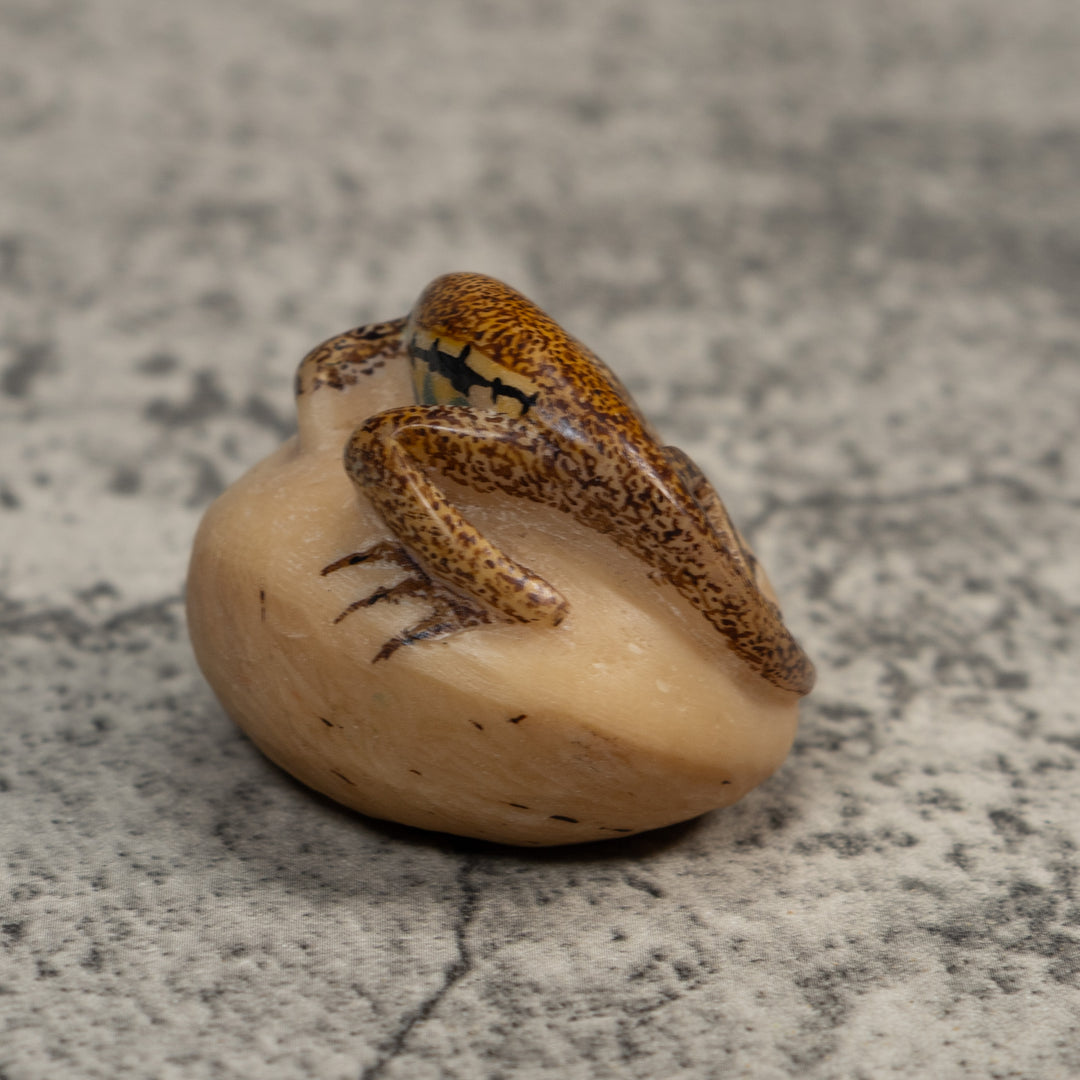 Vintage Brown And Black Gecko Lizard Tagua Carving