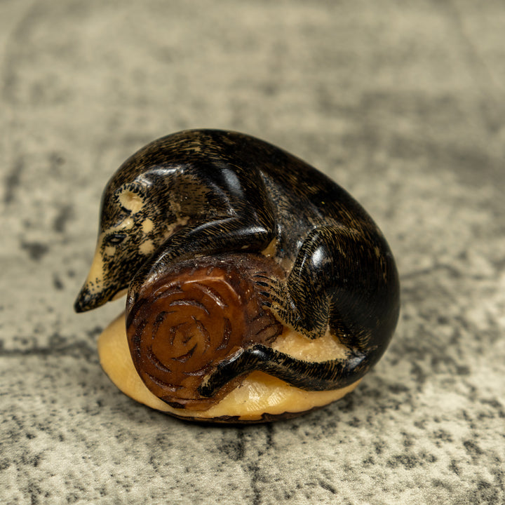 Coatimundi Tagua Carving