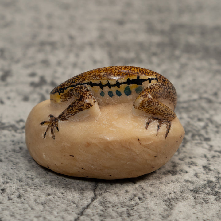Vintage Brown And Black Gecko Lizard Tagua Carving