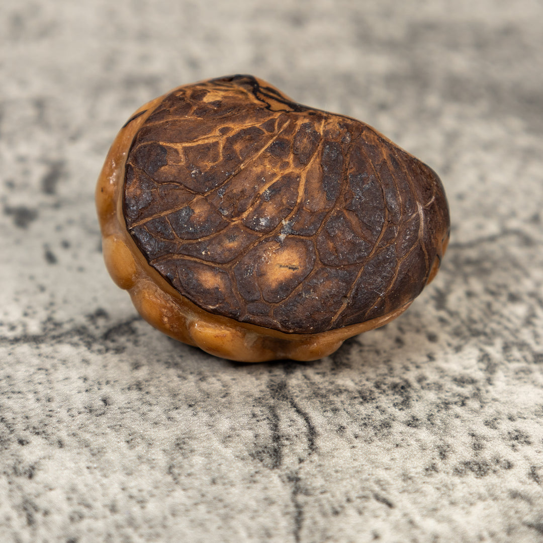 Vintage Dyed Frog Tagua Carving