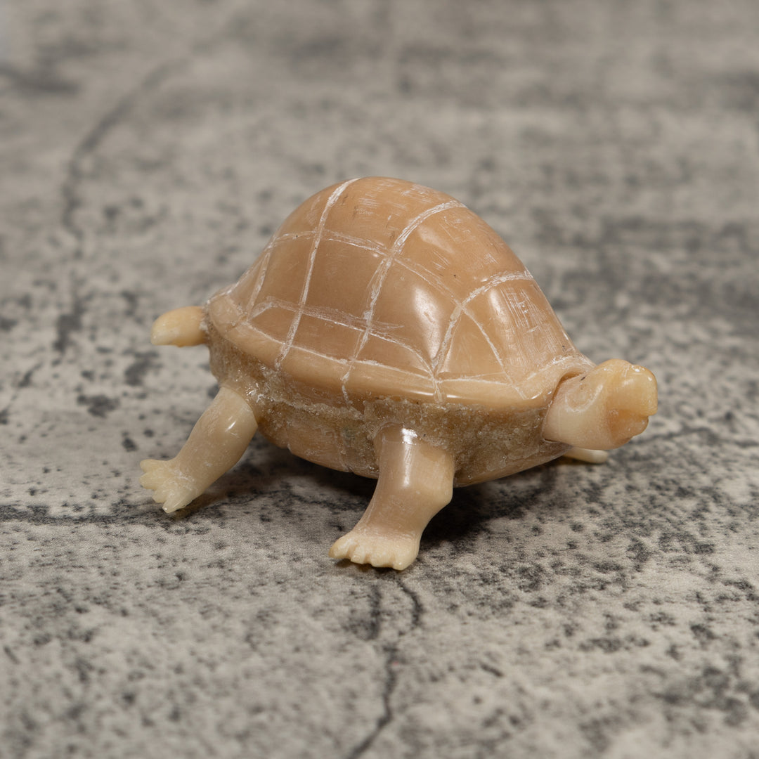 Vintage White Natural Tortise Turtle Tagua Carving