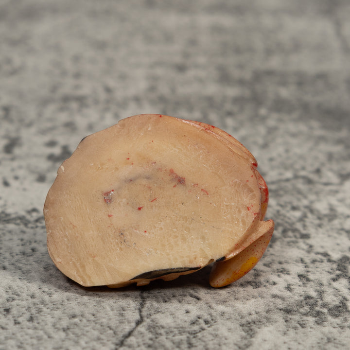 Vintage Red Unusual Poison Dart Frog Tagua Carving