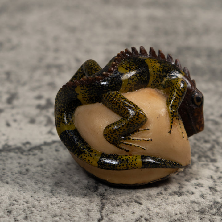 Black And Green Iguana Lizard Tagua Carving
