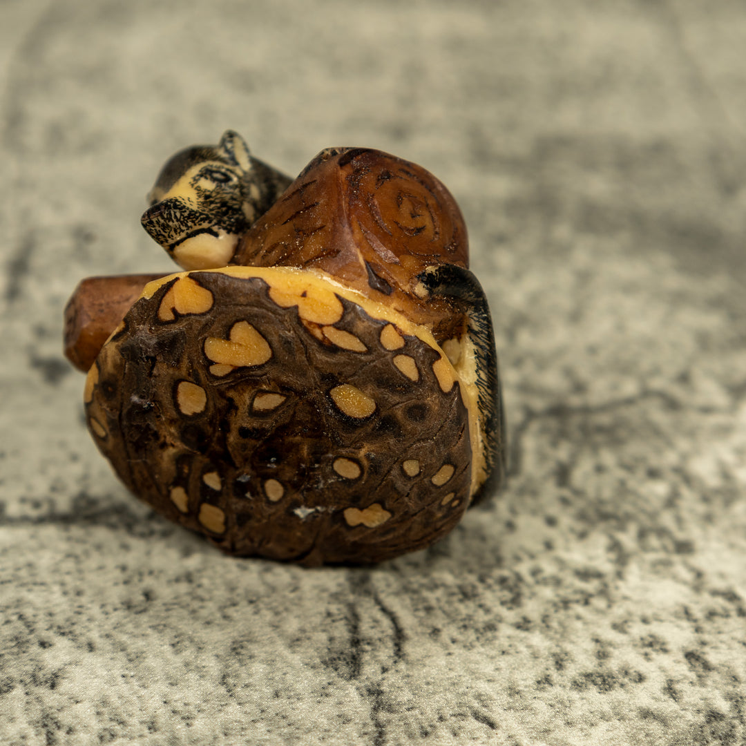 Coatimundi Tagua Carving