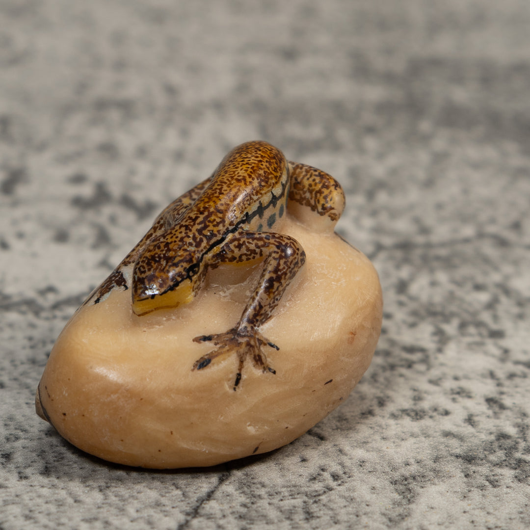 Vintage Brown And Black Gecko Lizard Tagua Carving