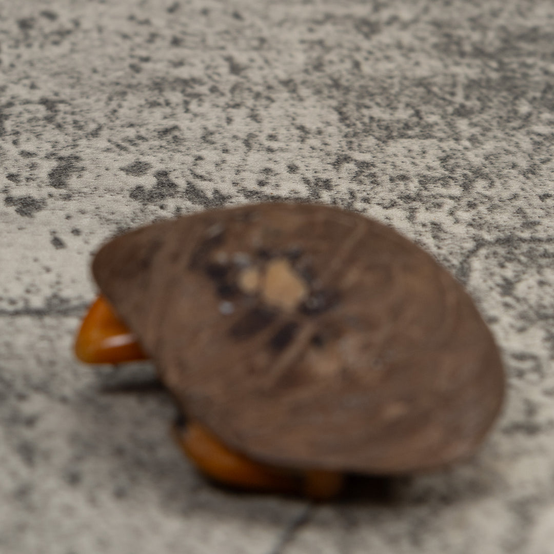 Vintage Orange And Black Frog Tagua Carving