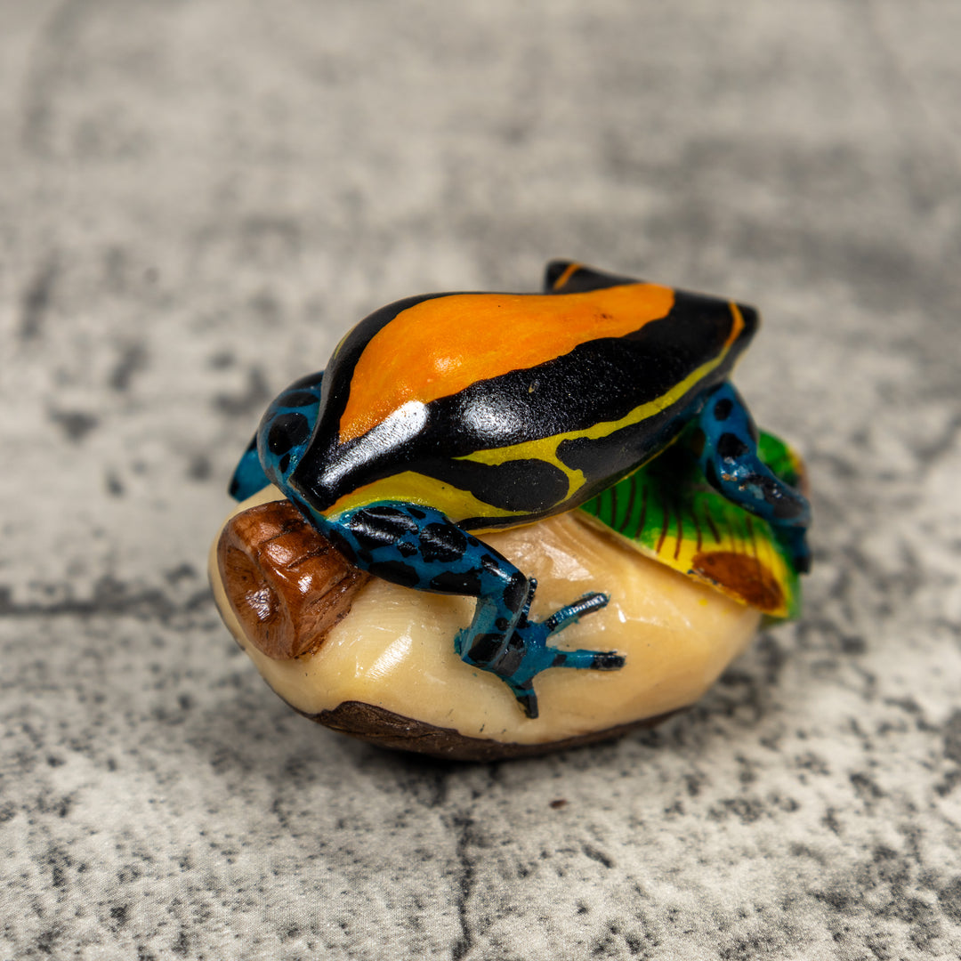 Black Orange Yellow And Blue Poison Dart Frog Tagua Carving
