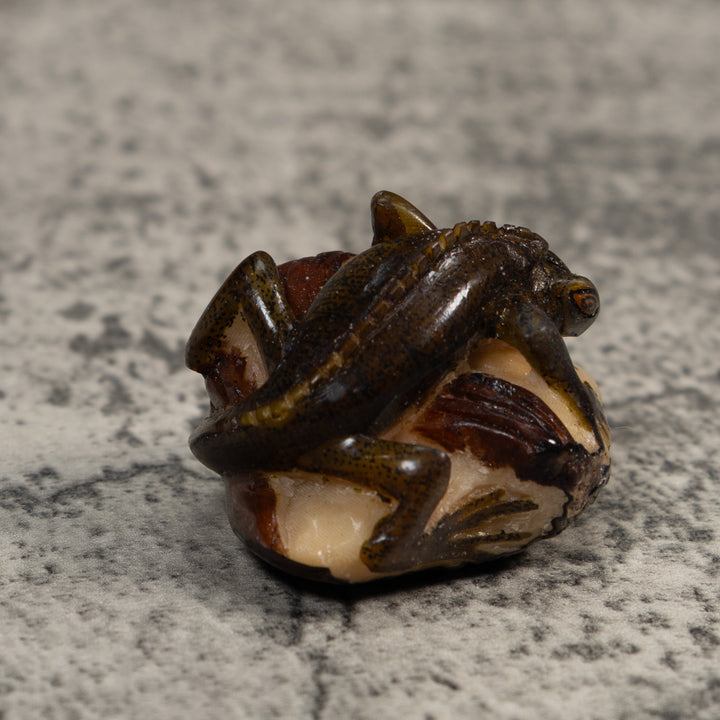 Brown And Black Iguana Lizard Tagua Carving