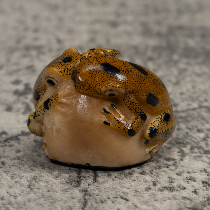 Double Vintage Frog Tagua Carving