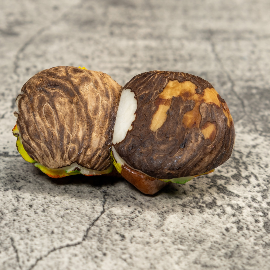 Double Nut Sloth Tagua Carving