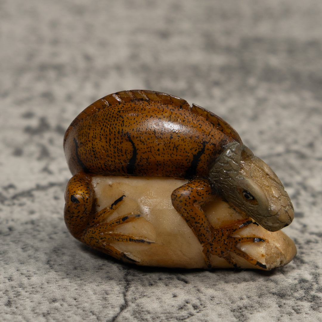 Vintage Brown Iguana Lizard Tagua Carving