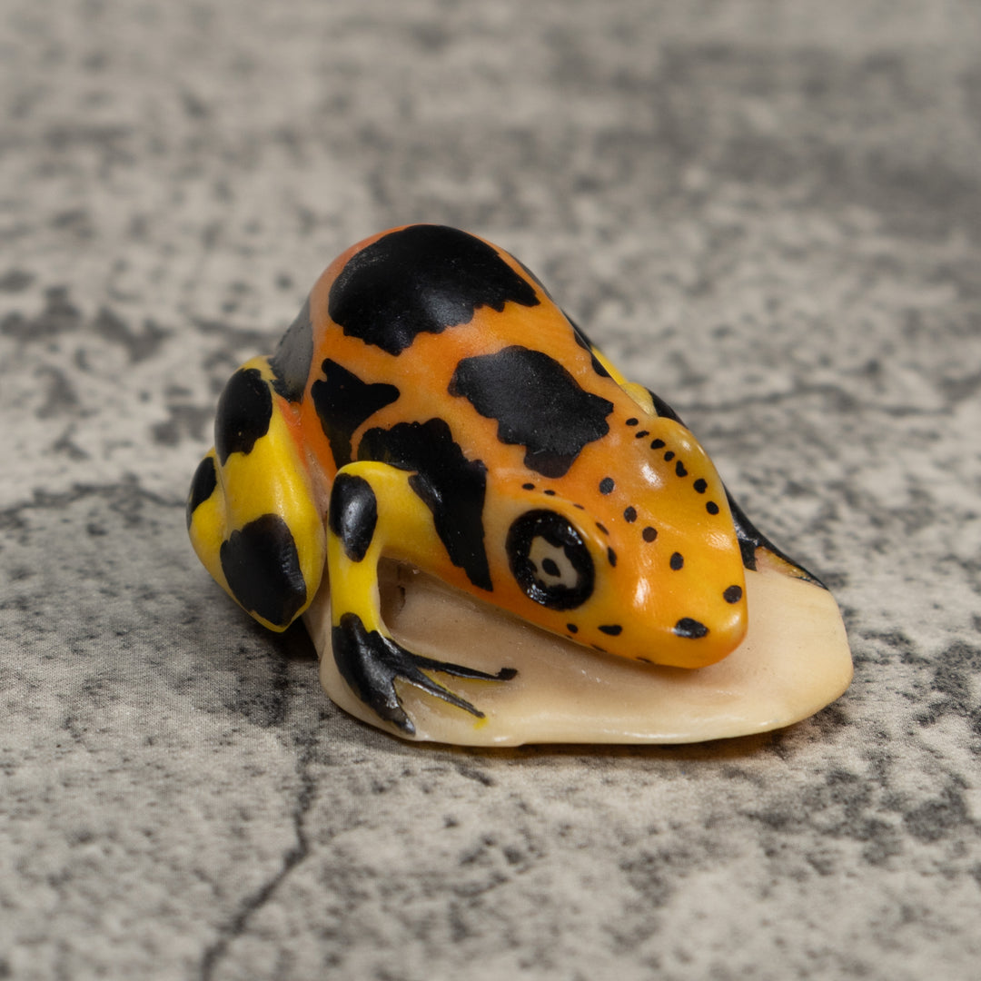 Black Gold And Yellow Poison Dart Frog Tagua Carving