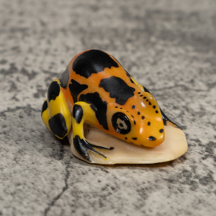 Black Gold And Yellow Poison Dart Frog Tagua Carving