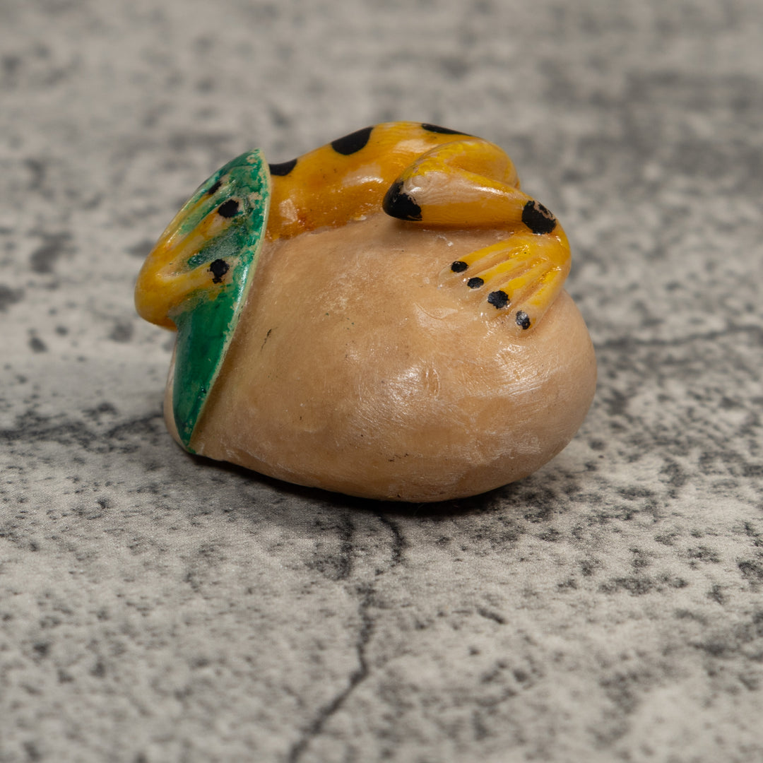 Vintage Black And Gold Poison Dart Frog Tagua Carving