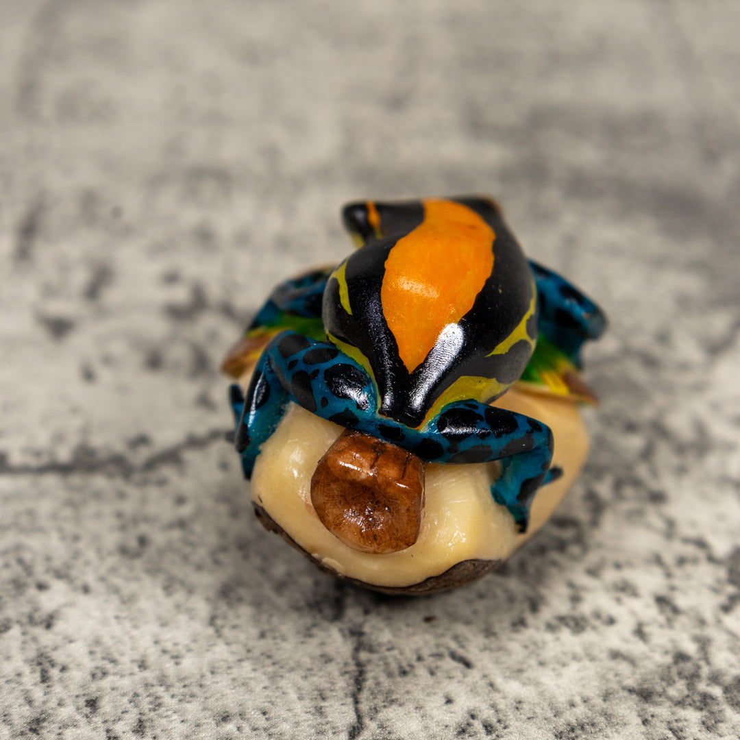 Black Orange Yellow And Blue Poison Dart Frog Tagua Carving