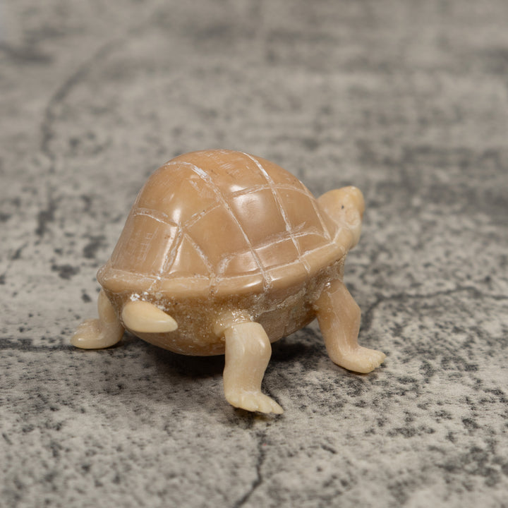 Vintage White Natural Tortise Turtle Tagua Carving