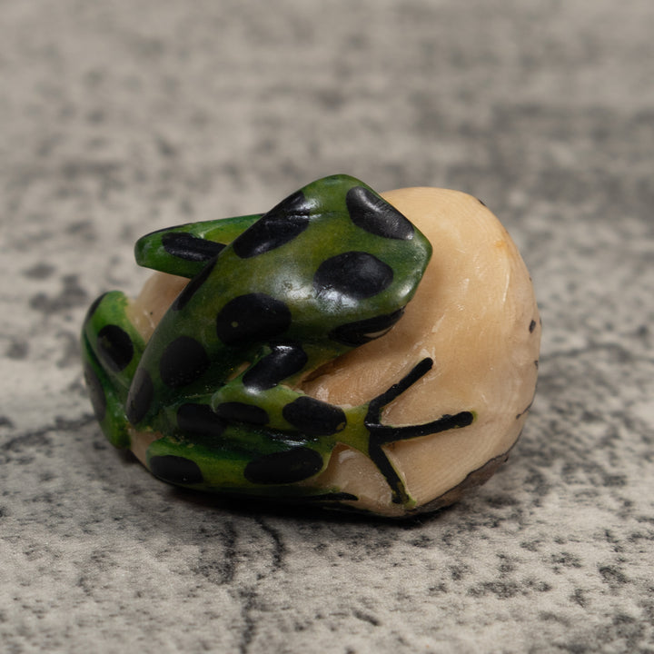 Black And Green Poison Dart Frog Tagua Carving