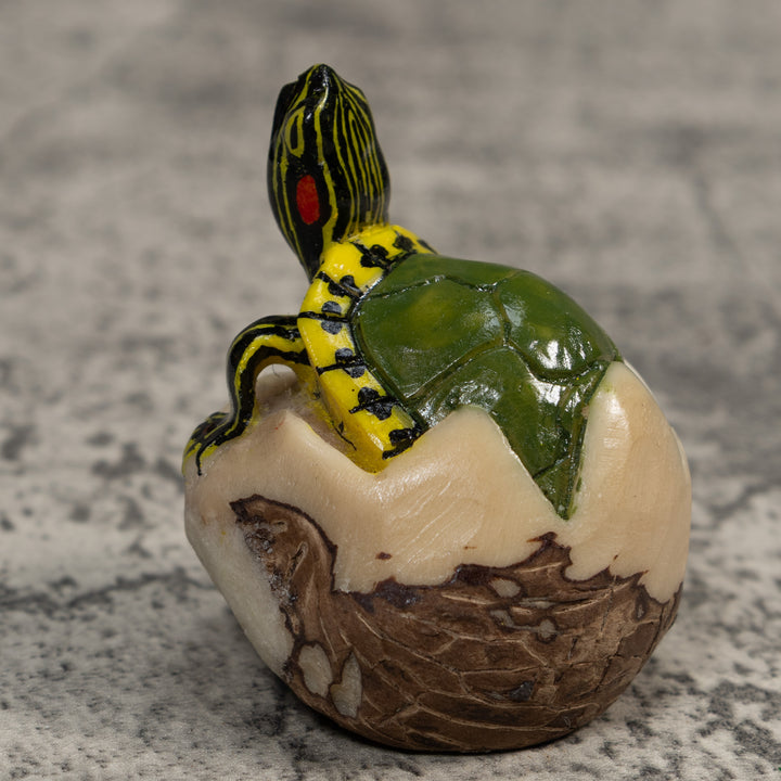 Land Turtle Tortoise Tagua Carving