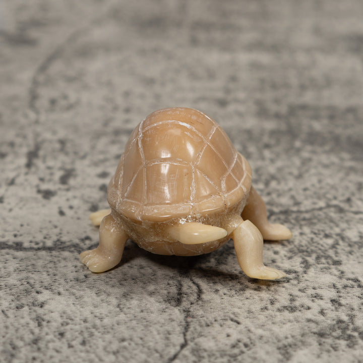 Vintage White Natural Tortise Turtle Tagua Carving