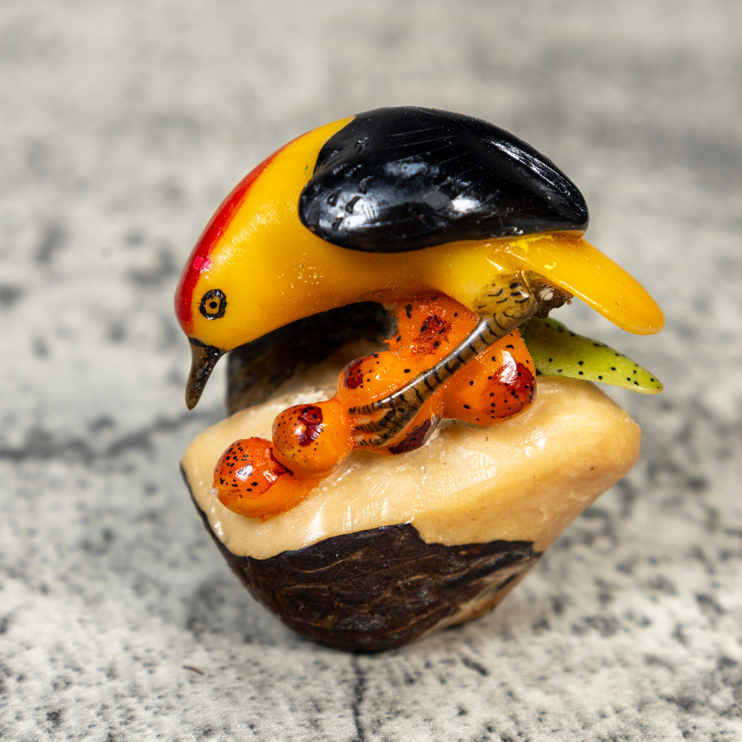 Red Yellow And Black Oriole Bird Tagua Carving