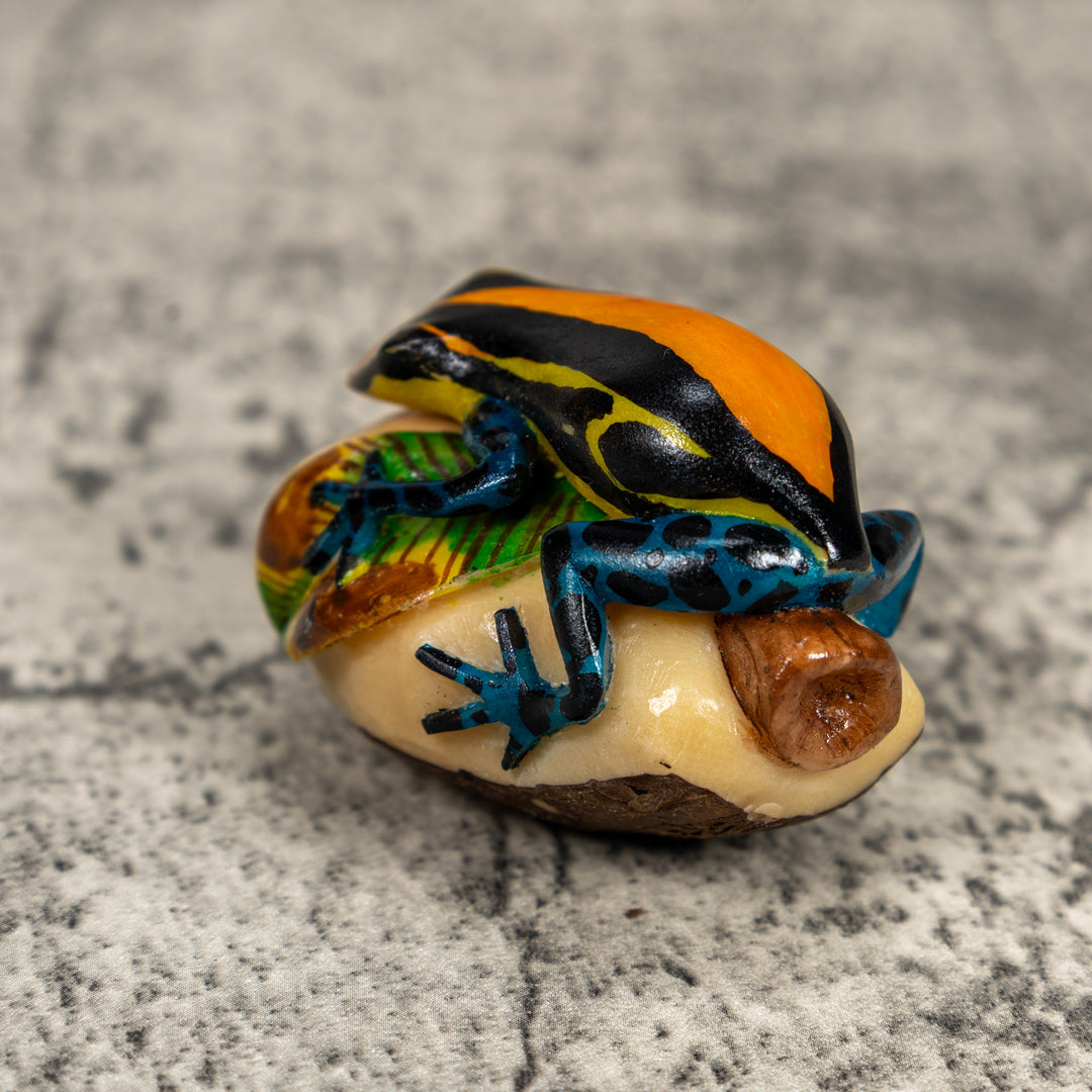 Black Orange Yellow And Blue Poison Dart Frog Tagua Carving