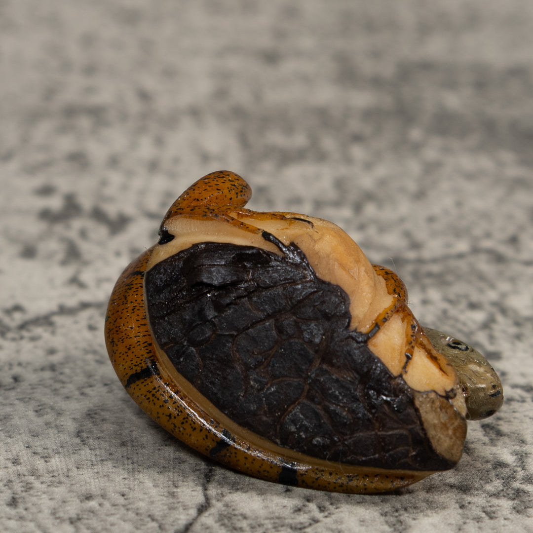 Vintage Brown Iguana Lizard Tagua Carving