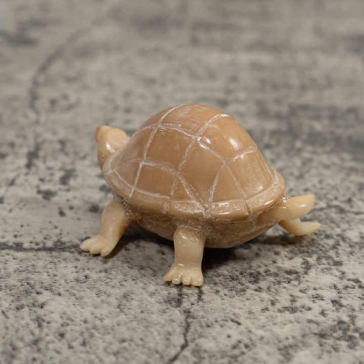Vintage White Natural Tortise Turtle Tagua Carving