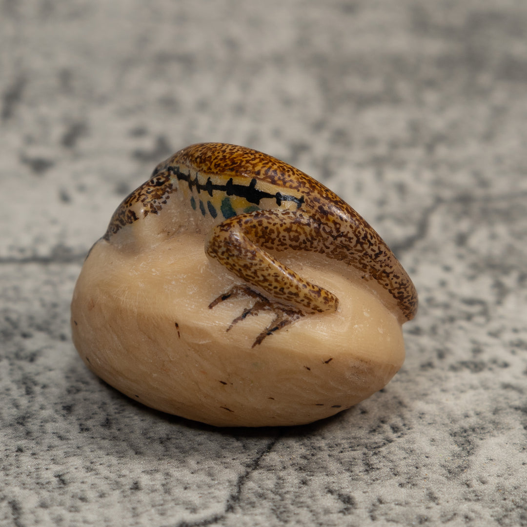 Vintage Brown And Black Gecko Lizard Tagua Carving