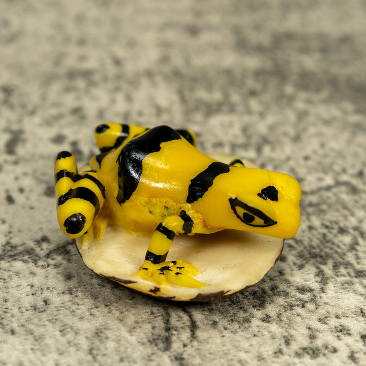 Black And Yellow Golden Frog Tagua Carving