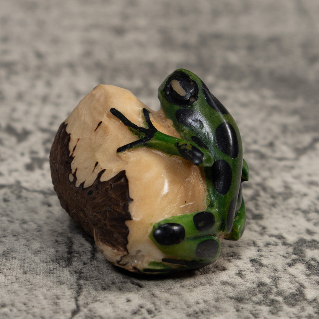 Black And Green Poison Dart Frog Tagua Carving