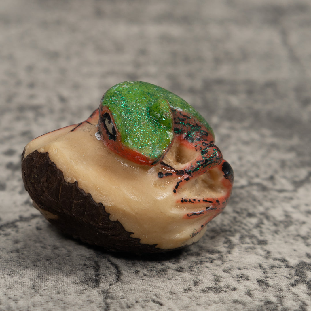 Green Orange And Black Frog Tagua Carving