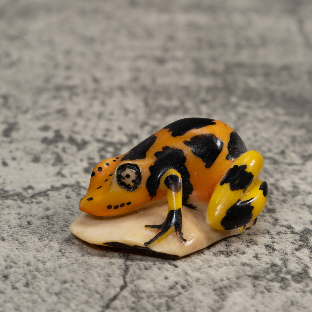 Black Gold And Yellow Poison Dart Frog Tagua Carving
