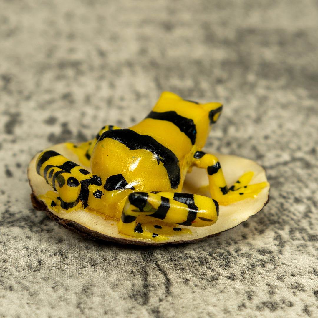 Black And Yellow Golden Frog Tagua Carving