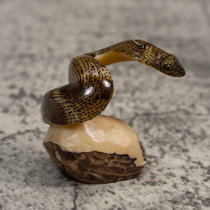 Vintage Speckled Cobra Snake Tagua Carving