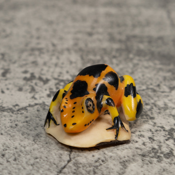 Black Gold And Yellow Poison Dart Frog Tagua Carving