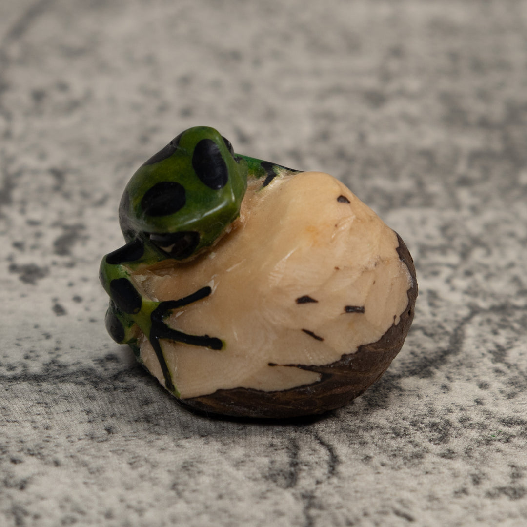 Black And Green Poison Dart Frog Tagua Carving