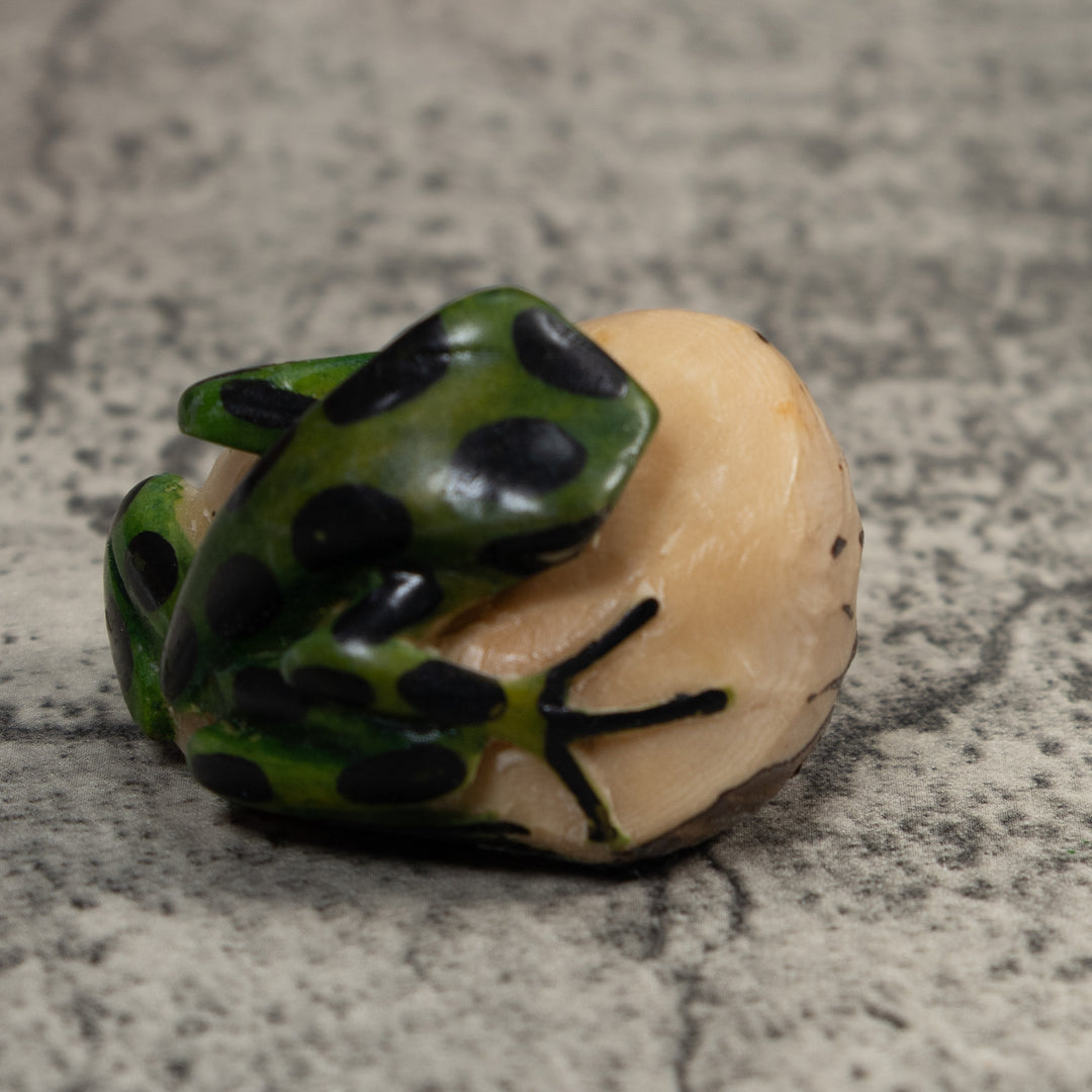 Black And Green Poison Dart Frog Tagua Carving